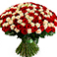 category image